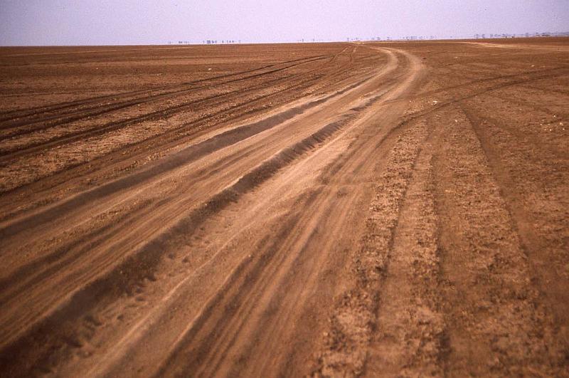 WT 1400 207-23 Kenya.jpg